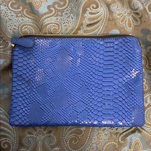 Blue snakeskin clutch